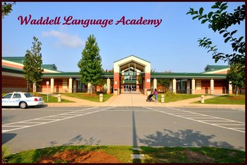 Waddel Language Academiy