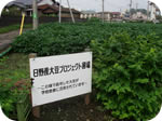 日野産大豆プロジェクト1