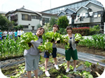 ひのっ子日野人食育ファーム２