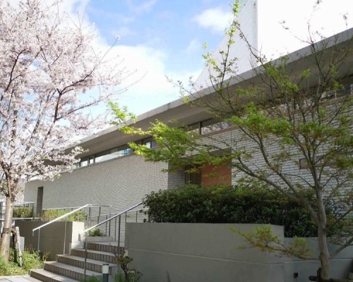 sakura-kai