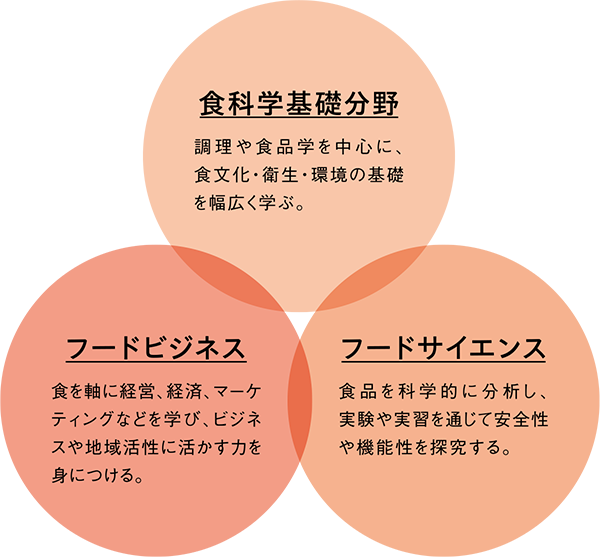 食デザイン専攻