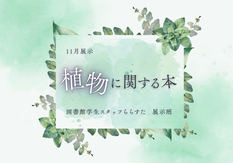 画像イメージ