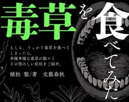画像イメージ