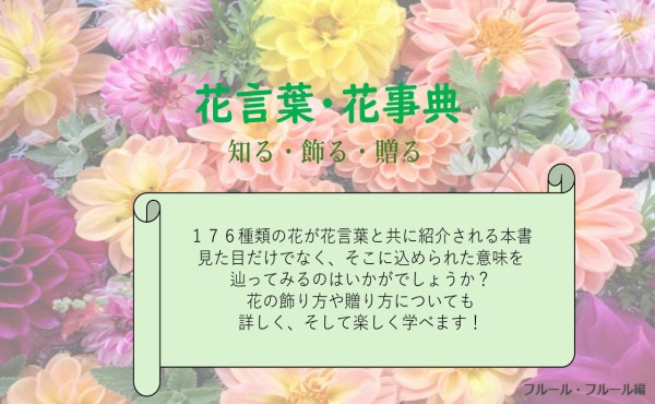 画像イメージ
