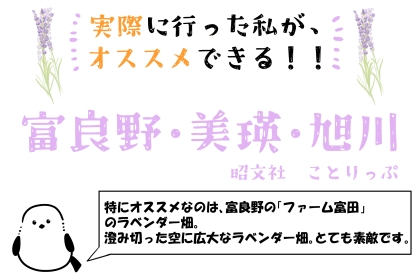 画像イメージ