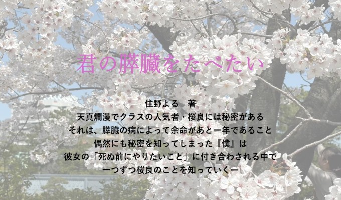 画像イメージ