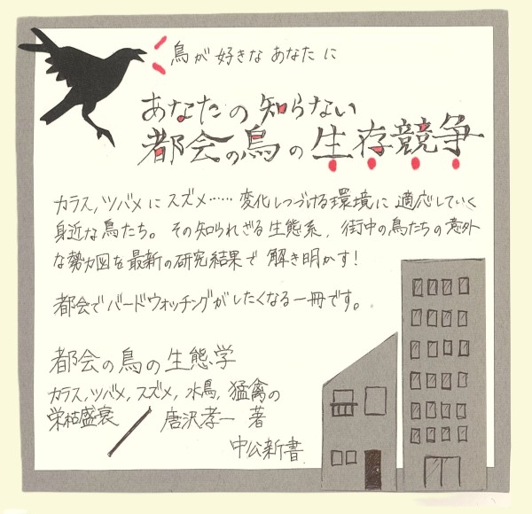 画像イメージ