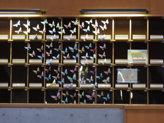 画像イメージ