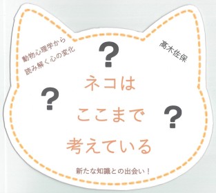 画像イメージ