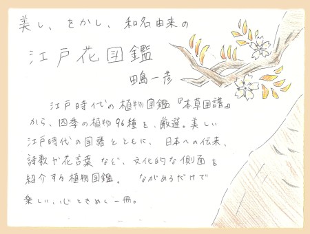 画像イメージ
