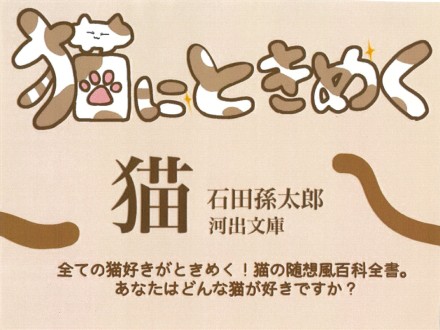 画像イメージ