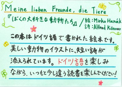 画像イメージ